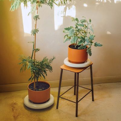 Bergs Potter Lily GLAZED Kruka Orange, Ø 25 cm