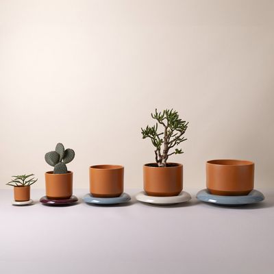 Bergs Potter Lily GLAZED Kruka Orange, Ø 25 cm