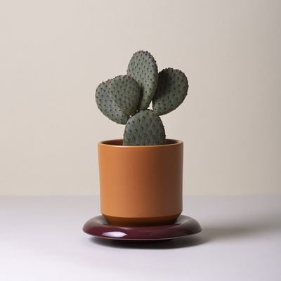 Bergs Potter Lily GLAZED Kruka Orange, Ø 25 cm