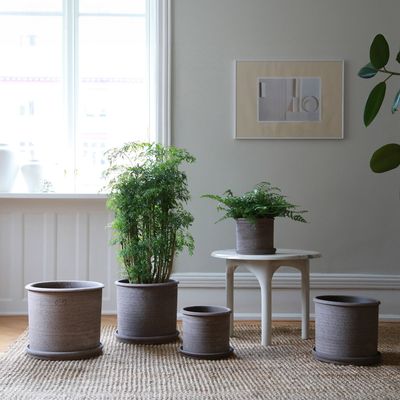 Bergs Potter Modena RAW Kruka Med Fat Grå, Ø 40 cm