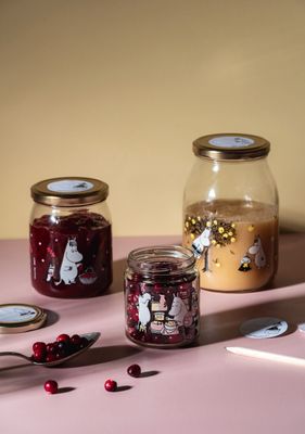 Muurla Mumin Glasburk Jam 0,3 L