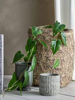 Växt Grön Konstgjorda blommor Anthurium | Bloomingville