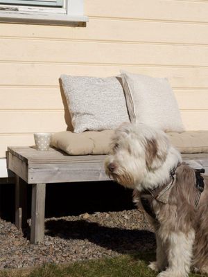 Svanefors Louie Sittdyna Beige 45x120 cm