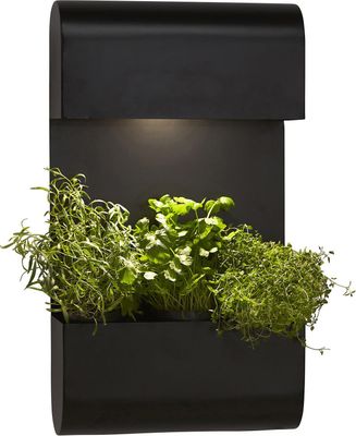 Planta Vägglampa Svart 70x40cm Svart | PR Home