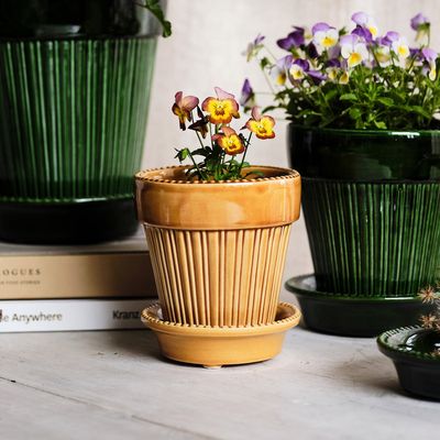 Bergs Potter Simona GLAZED Kruka Med Fat Bärnstensgul, Ø 16 cm
