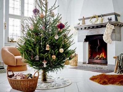 Trädställ Mässing Gjutjärn Kayra | Bloomingville