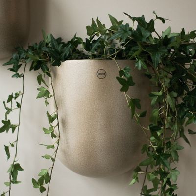 DBKD Cut XL Beige
