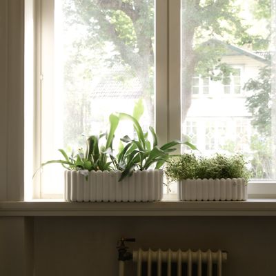 DBKD Mist Oval Large Vit