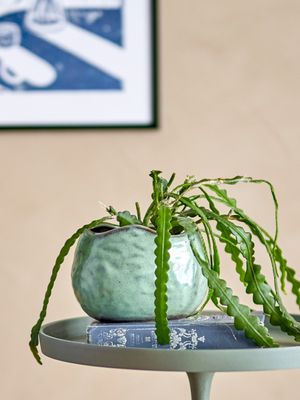 Kruka Grön Stengods Pennie | Bloomingville