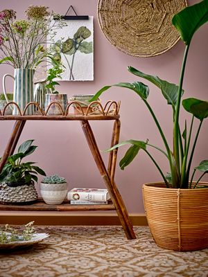 Klämma Svart Granträ | Bloomingville Creative