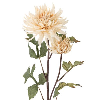 Stjälk Natur Konstgjorda blommor Chrysantemum | Bloomingville