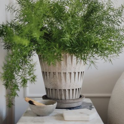 Bergs Potter Pantheon RAW Kruka Med Fat Grå, Ø 25 cm