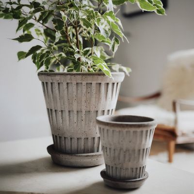 Bergs Potter Pantheon RAW Kruka Med Fat Grå, Ø 25 cm
