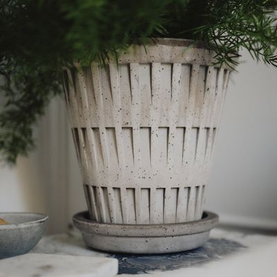 Bergs Potter Pantheon RAW Kruka Med Fat Grå, Ø 21 cm