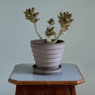 Bergs Potter Planet RAW Kruka Med Fat Grå, Ø 21 cm