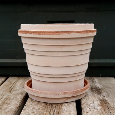 Bergs Potter Planet RAW Kruka Med Fat Rosa, Ø 21 cm