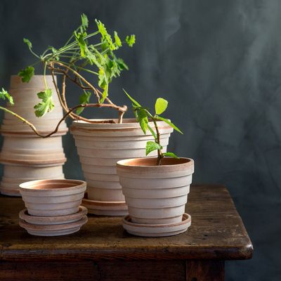 Bergs Potter Planet RAW Kruka Med Fat Rosa, Ø 21 cm