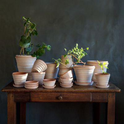 Bergs Potter Planet RAW Kruka Med Fat Rosa, Ø 25 cm