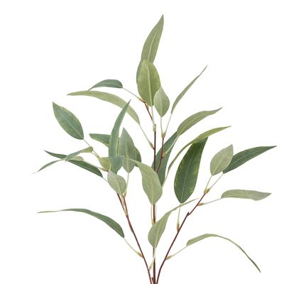 Stjälk Grön Konstgjorda blommor Eucalyptus | Bloomingville