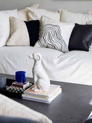 Teddy Kuddfodral Svart 45x45cm | Svanefors