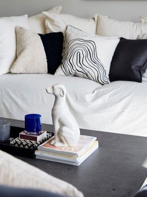 Svanefors Teddy Kuddfodral Svart 45x45 cm