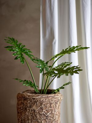 Bloomingville Philodendron Växt Grön Konstgjorda blommor