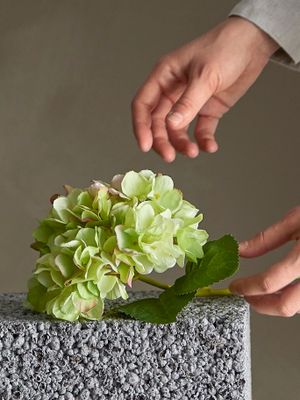 Stjälk Vit Konstgjorda blommor Hydrangea | Bloomingville