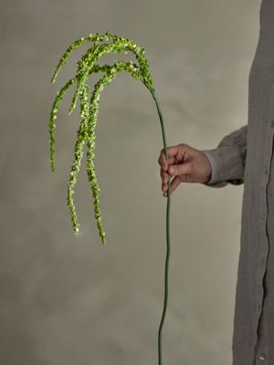 Stjälk Grön Konstgjorda blommor Foxtail | Bloomingville