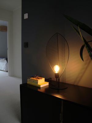 PR Home Elm Bordslampa Ljus-svart 58cm