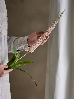 Stjälk Rosa Konstgjorda blommor Foxtail | Bloomingville