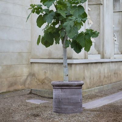 Bergs Potter Cilindro RAW Kruka Grå, Ø 62 cm