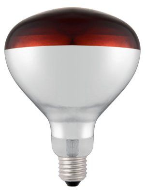 Infraröd glödlampa - 230V / 250W - 125x(H)170mm