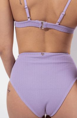 RAD Polewear - NIB bottom Eco - Lilac