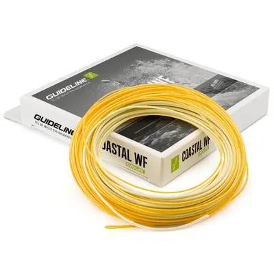 Guideline Coastal Evolve - Flyt