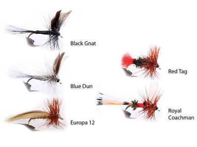 Flugsortiment 5p - Dry Fly 1