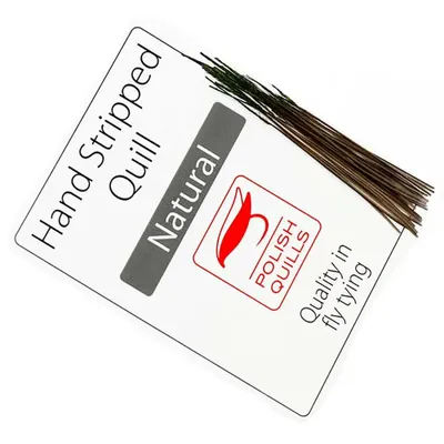 Hand stripped Peacock Quill - Natural