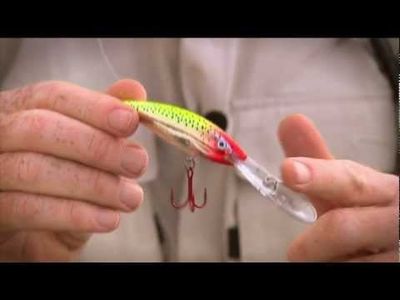 Rapala Deep Tail Dancer - 11cm