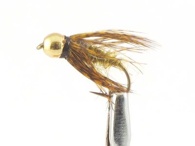 Fluga Dano - Caddis Nymph - Goldhead - 12