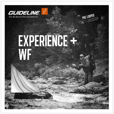 Guideline Experience+ - Flyt