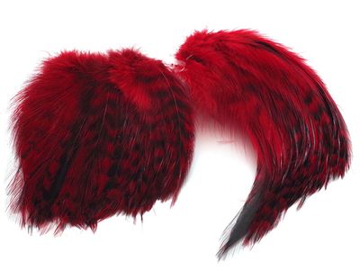 Barred Strung Neck Hackle