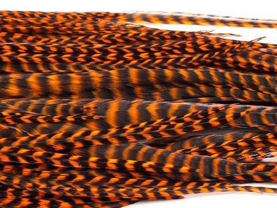 Keough 1/2 - Grizzly Saddle - Orange