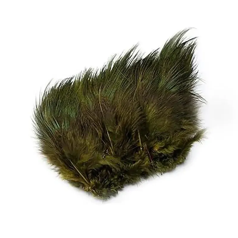 Ringneck Rump Hackel