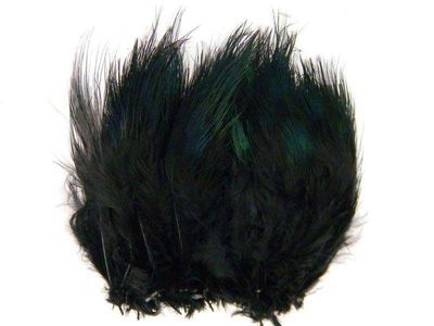 Ringneck Rump Hackel