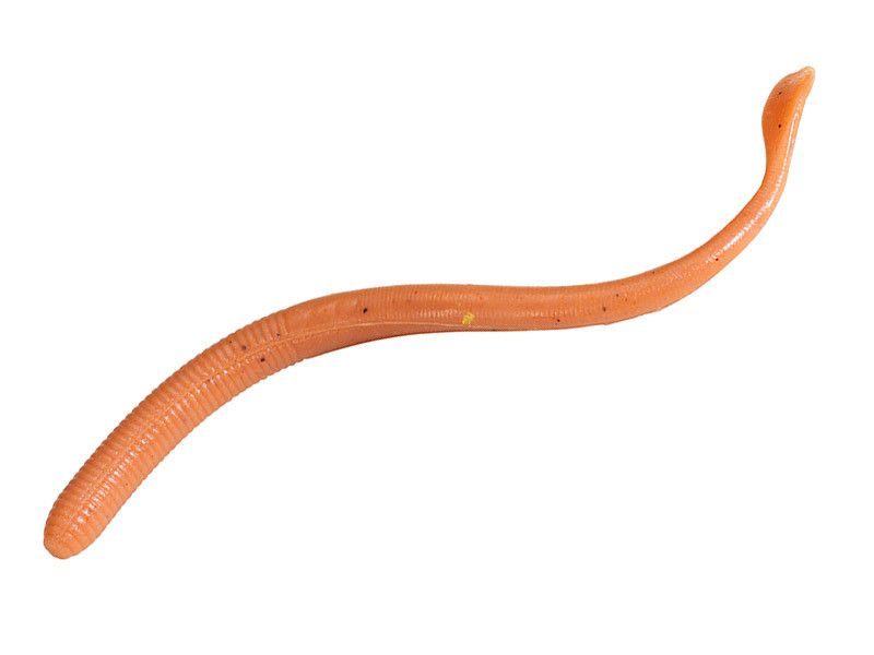 Gulp Nightcrawler (Daggmask) - Natural