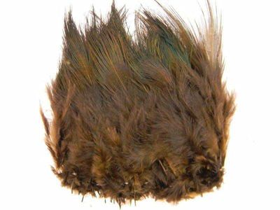 Ringneck Rump Hackel