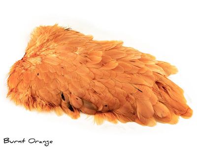 Feathermaster Hönssaddle