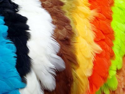 Feathermaster Hönssaddle