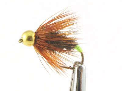 Fluga Dano - Black Peacock Spider - Goldhead - 12