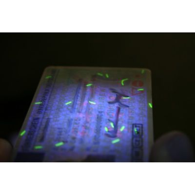 UV ficklampa