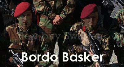 Bordo basker